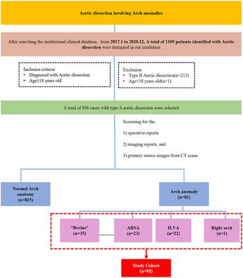 Surgical treatment strategies for patients with type A aortic dissection involving arch anomalies